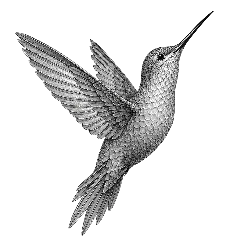 massage-pamoja-colibri massage pamoja colibri